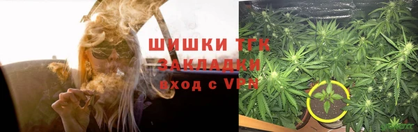 спайс Богданович