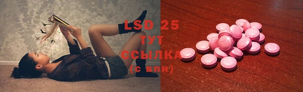 спайс Богданович