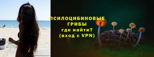 спайс Богданович