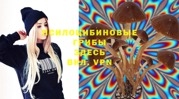 мет Белокуриха