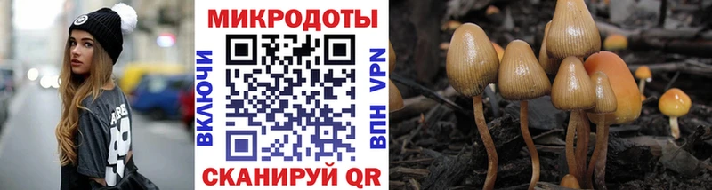 Купить где  Сарапул  Галлюциногенные грибы Psilocybe 
